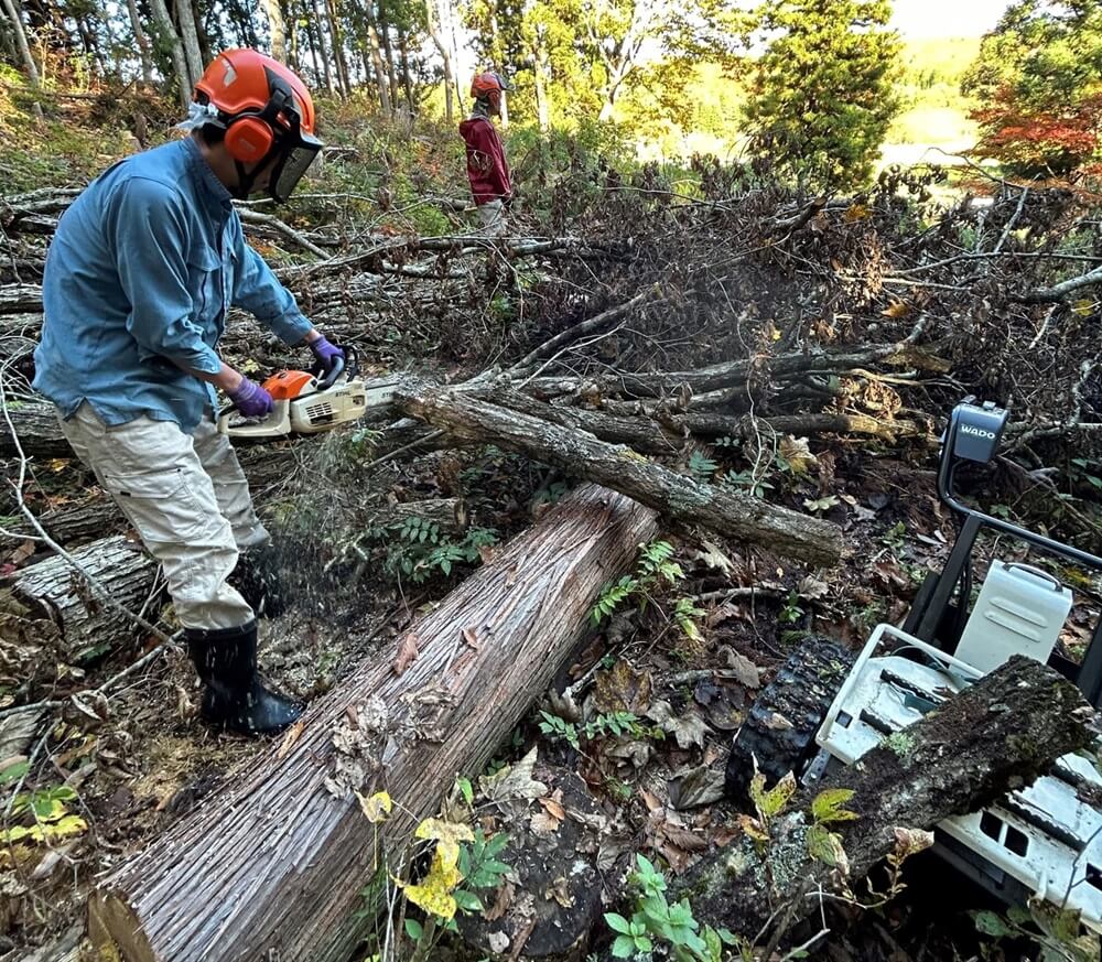 cutting_lumber_on the spot (1).jpg