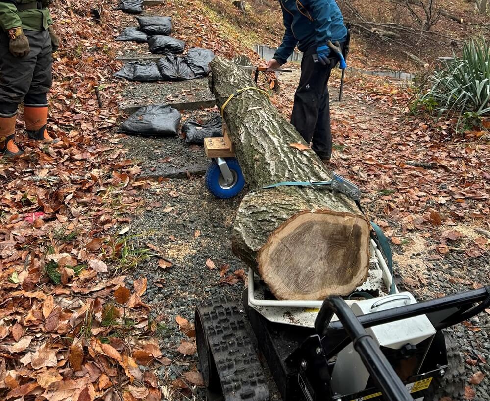 yamaneko_bear_lumber_morioka.jpg