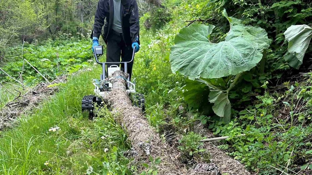 木の表面のひっかいた跡の正体は！？