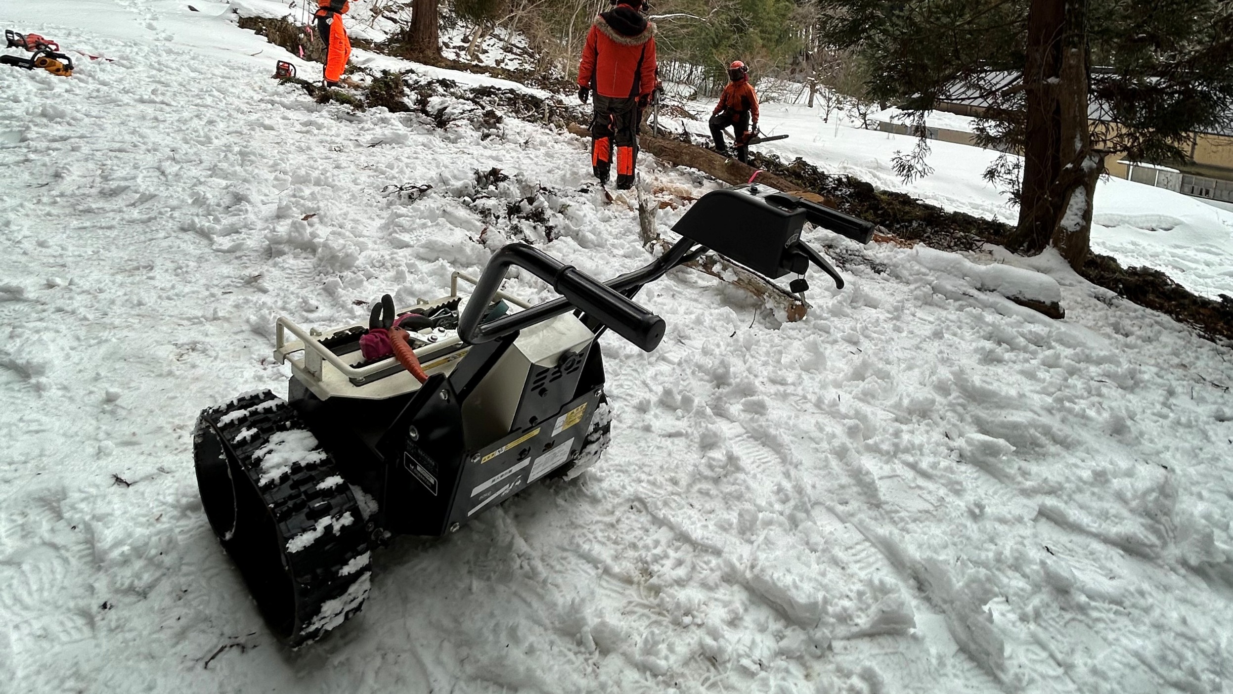 2026年初の山猫出動は雪の中!!